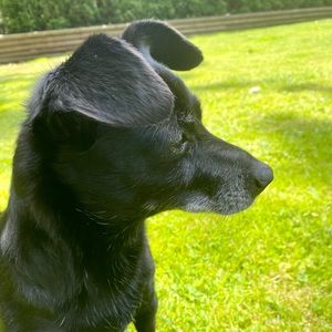 Meet your Posher, Joanne